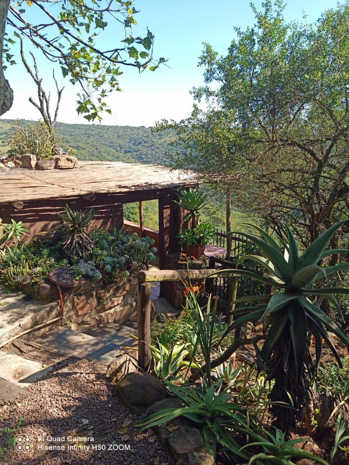 Camperdown Leopards And Louries Bush Lodge المظهر الخارجي الصورة