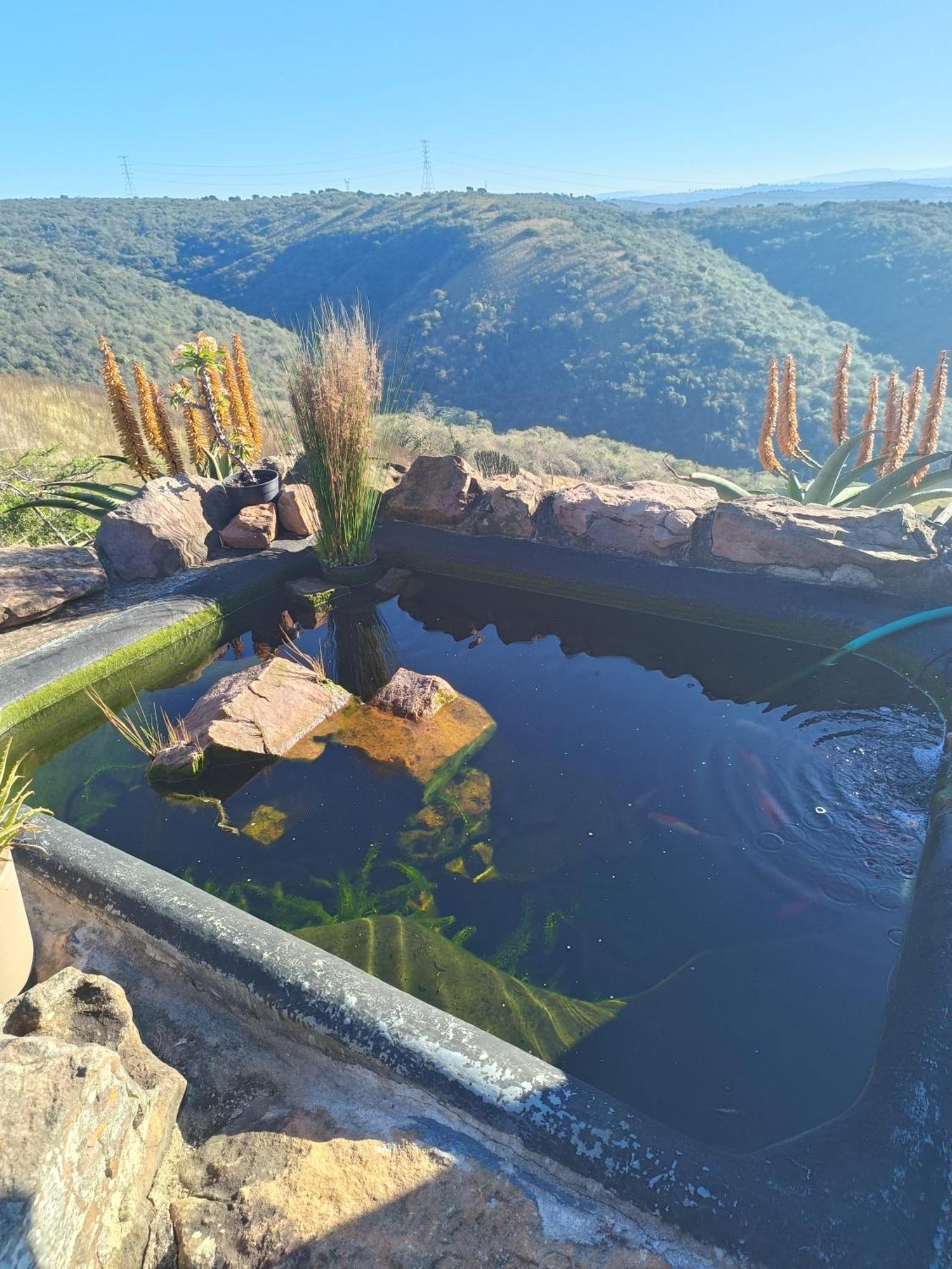 Camperdown Leopards And Louries Bush Lodge المظهر الخارجي الصورة